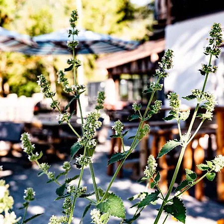 Peakini Farmhaus * ウンタータウエルン