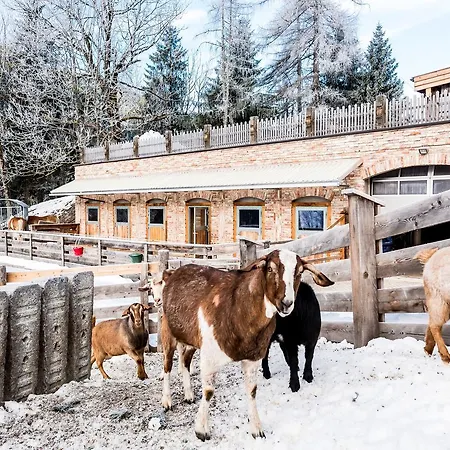 Peakini Farmhaus Untertauern