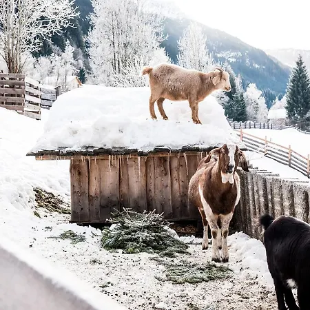 Peakini Farmhaus Vakantieboerderij