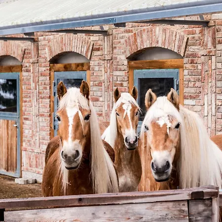 农家乐 Peakini Farmhaus 安特奥恩