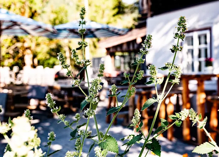 Peakini Farmhaus * אונטרטאורן