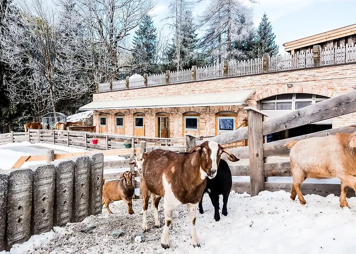 Peakini Farmhaus Untertauern