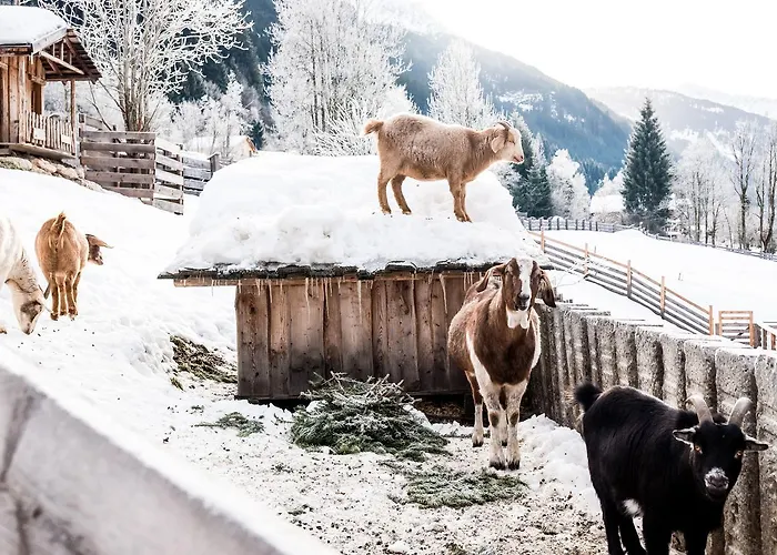 Peakini Farmhaus בית חווה
