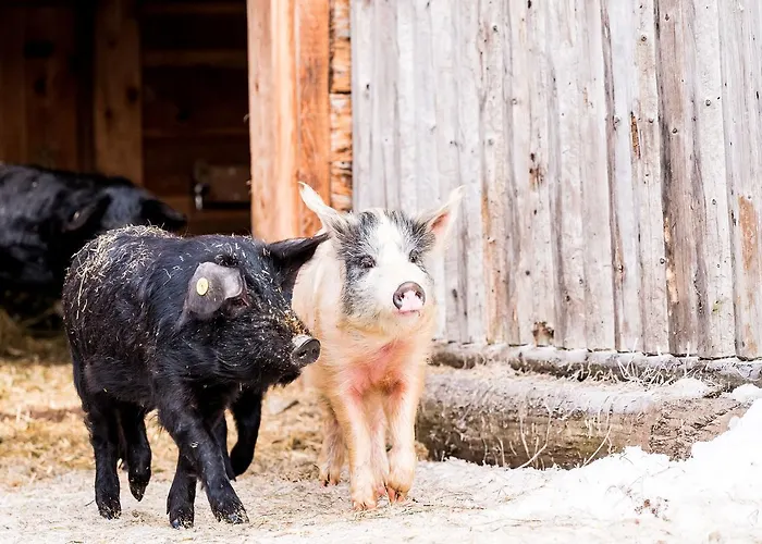 Peakini Farmhaus Bauernhof