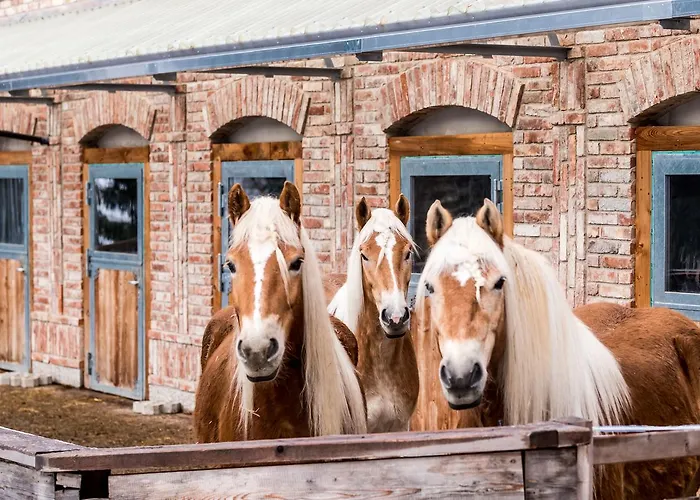 Bauernhof Peakini Farmhaus Untertauern